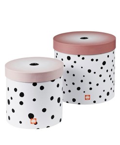 Boxen-Set Happy dots rose auf mina-lola.com von done by deer