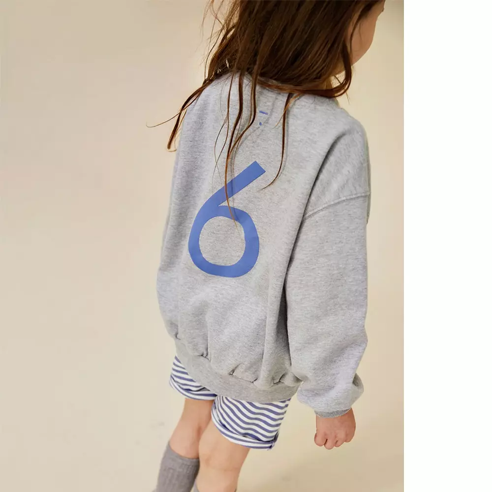geburtstags sweater 6 kid gray label